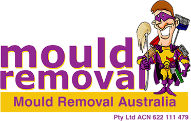 Mould Removal