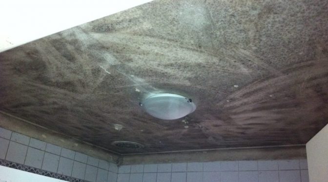 mould removal from bathroom ceiling