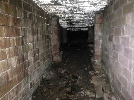 mould inspection