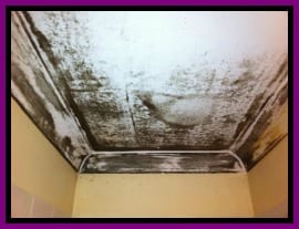 mould problem in rental properties